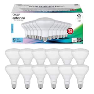 65-Watt Equivalent BR30 Dimmable CEC Enhance 90+ CRI E26 Medium Base Flood LED Light Bulb, Daylight 5000K (12-Pack)