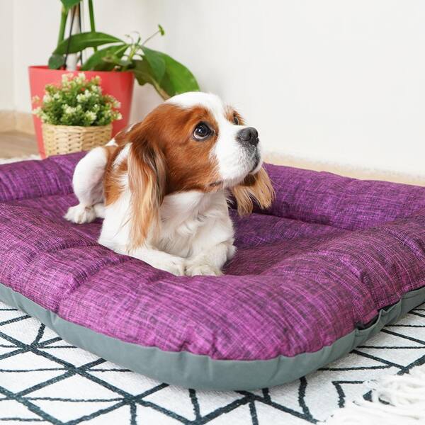 wipeable dog mat