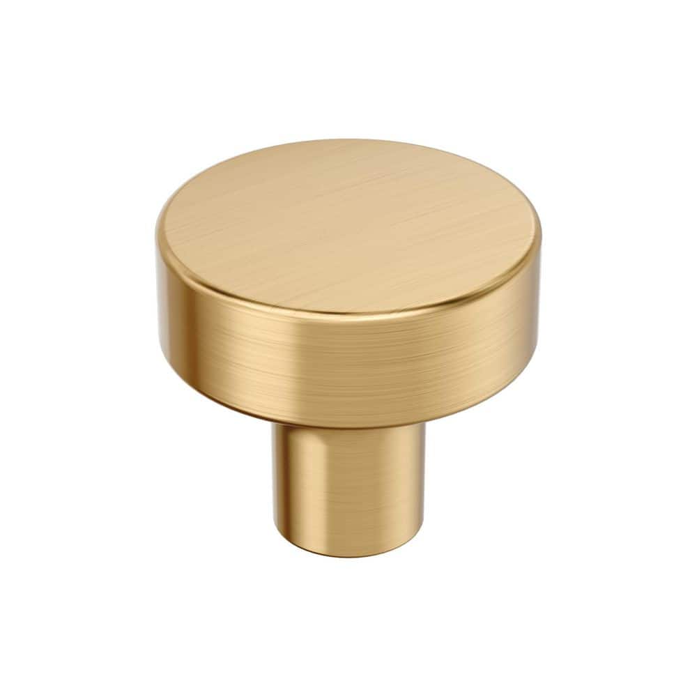 Merced 1-1/4 in. (32mm) Diameter Champagne Bronze Modern Round Cabinet Knob price history on PriceWatchPro