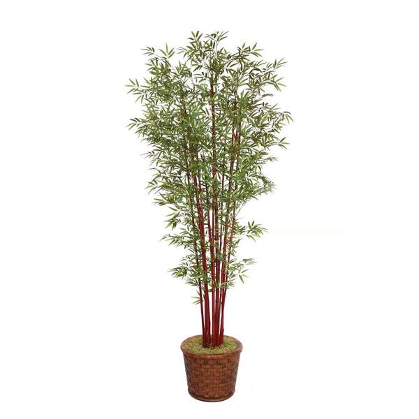 Laura Ashley 97 in. Tall Harvest Bamboo Tree in 17 in. Fiberstone Planter