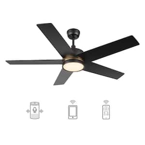 Lakeland 52 in. Integrated LED Indoor/Outdoor Black Smart Ceiling Fan with Light and Remote, Works w/Alexa/Google Home