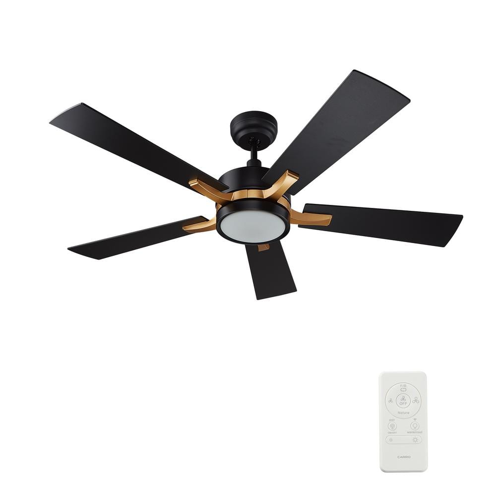 CARRO Apex II 52 in. Integrated LED Indoor/Outdoor Black Smart Ceiling Fan  with Light and Remote, Works w/Alexa/Google Home NS525E-L12-B2-1G - The 