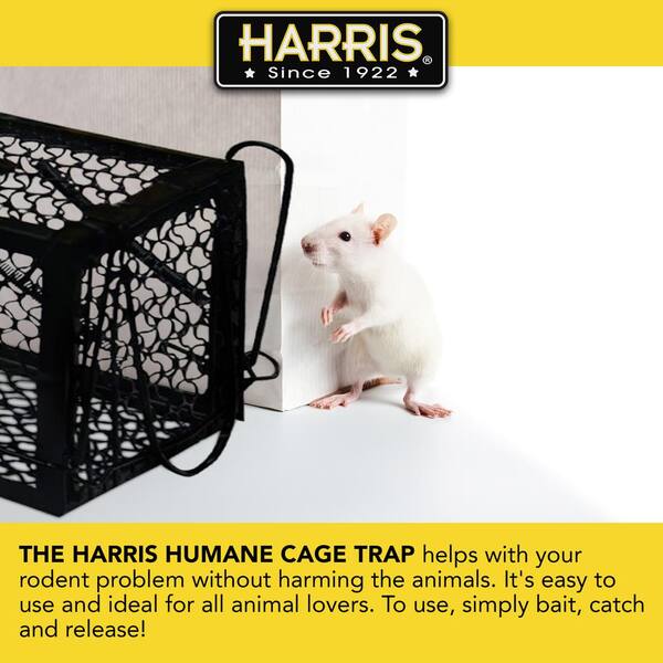 Details about   Big Live Humane Cage Trap for Rodent Rat Mice Squirrel Chipmunk Animal Catcher 