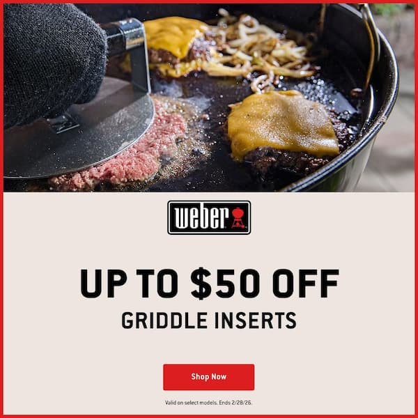 Genesis Grill 300 Series Rust-Resistant Griddle Insert