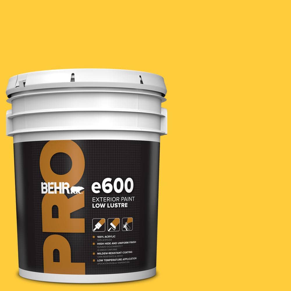 5 gal. #S-G-360 Bright Star Low Luster Exterior Paint price history on PriceWatchPro