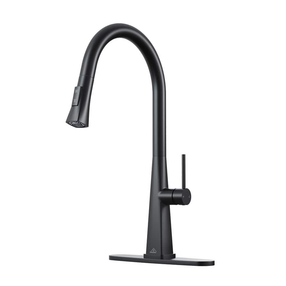 CASAINC Single Handle Pull-Down Sprayer Kitchen Faucet with Advanced Spray, Pull Out Spray Wand, Deckplate in Matte Black