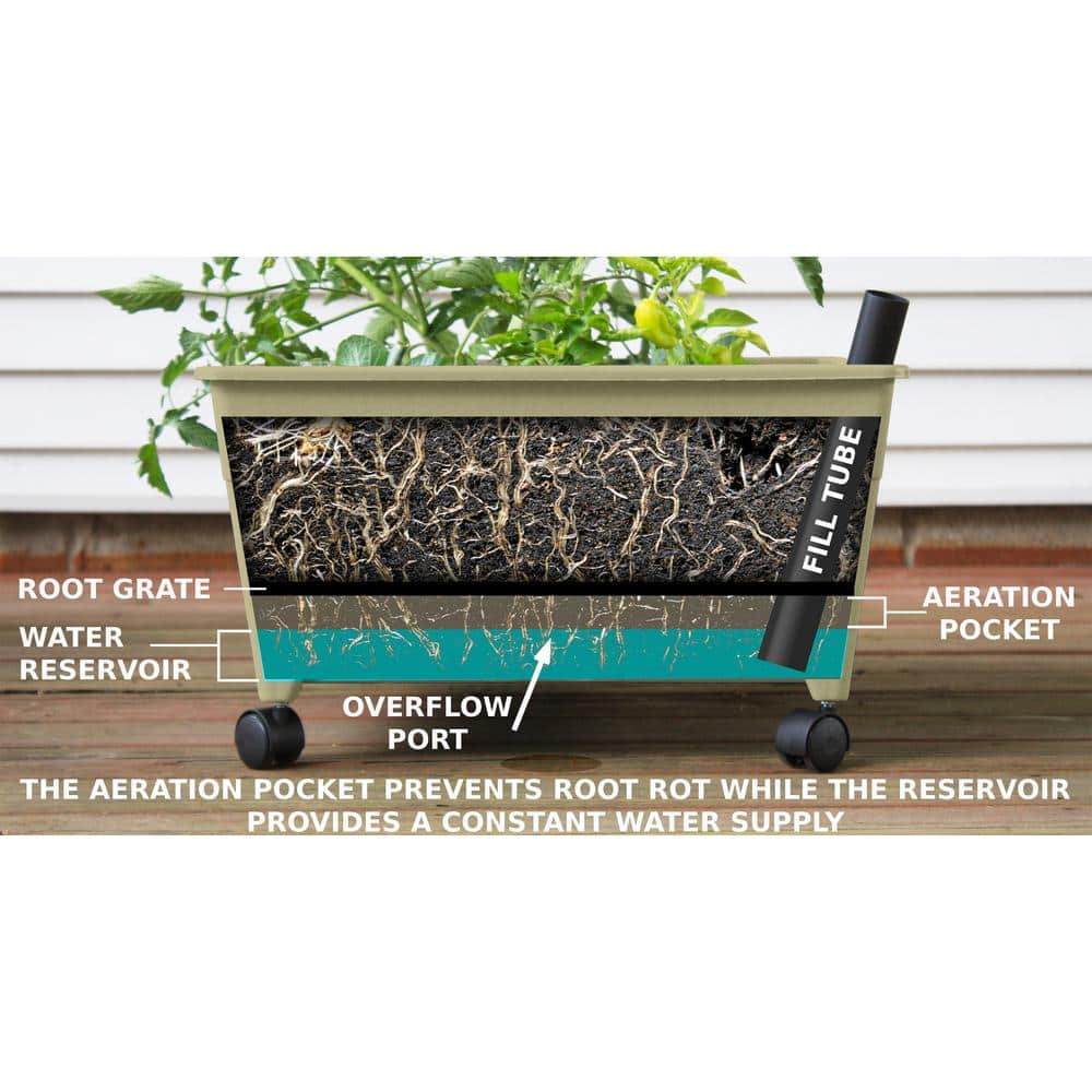 Sand Rectangular Resin Raised Bed Grow Box with Casters
