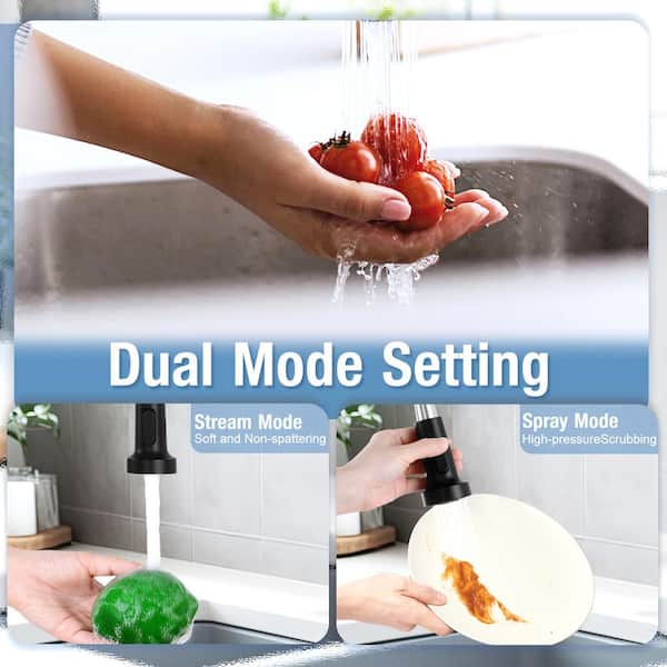 Single Handle Kitchen Faucet Pull Out Sprayer Kitchen Faucet with Deckplate Included in Matte Black