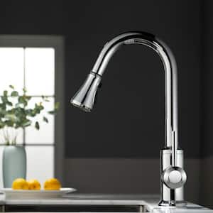 Ruth Single-Handle Pull-Down Sprayer Kitchen Faucet with Dual Function Sprayhead in Polished Chrome