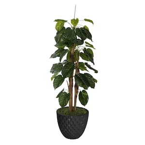 Artificial Faux Real Touch 72 in. Tall Scindapsus Aureus With Burlap Kit And 13.6 in. Black Honeycomb Fiberstone Planter