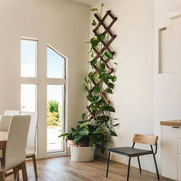 68 in. W x 13 in. H Expandable Garden Trellis, Wooden Lattice Wall
