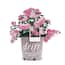 https://images.thdstatic.com/productImages/b8103286-b867-480b-ba0a-f52617972ee1/svn/drift-rose-bushes-19682-64_65.jpg