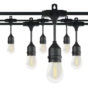 Outdoor/Indoor 48 ft. Plug-In A-Shape Bulb String Light Set