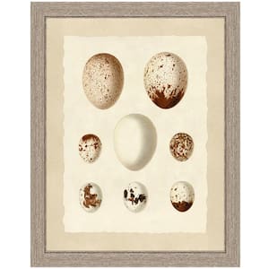 "Birds' eggs II" Framed Archival Paper Wall Art (24x28 in full size)