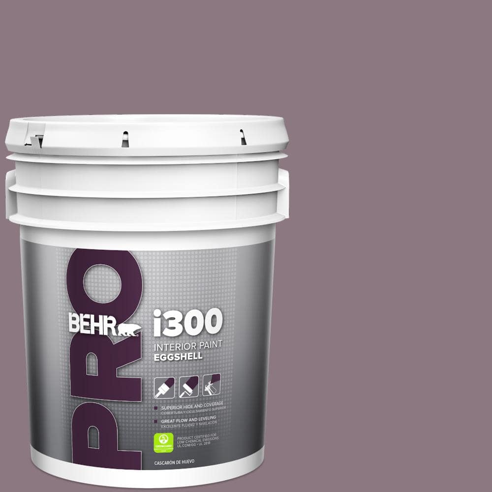 5 gal. #BNC-20 Purple Rubiate Eggshell Interior Paint price history on PriceWatchPro