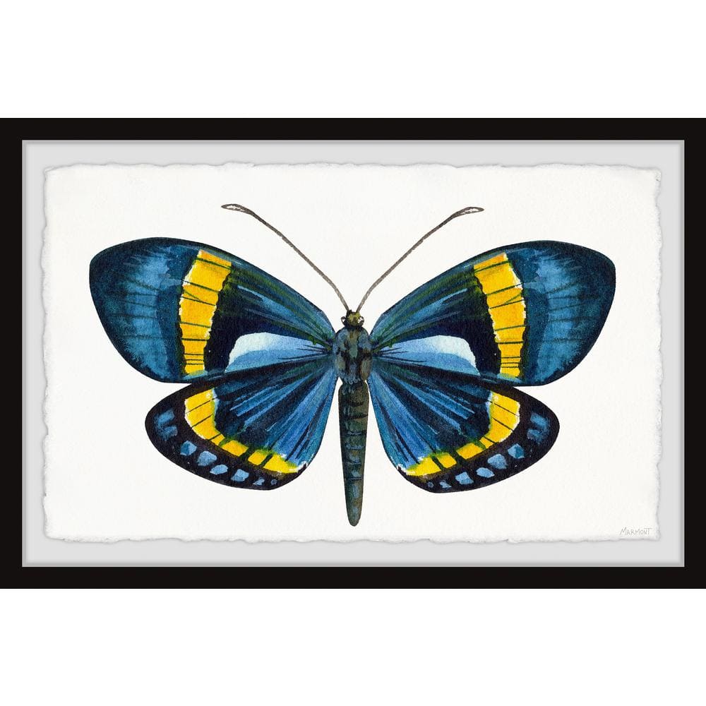Believe in Your Wings by Marmont Hill Framed Animal Art Print 30 in. x 45 i