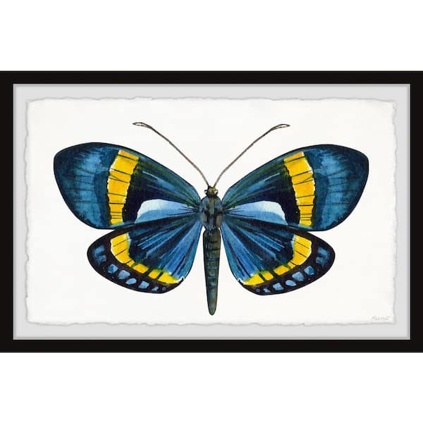 Unbranded "Believe in Your Wings" by Marmont Hill Framed Animal Art Print 30 in. x 45 in.