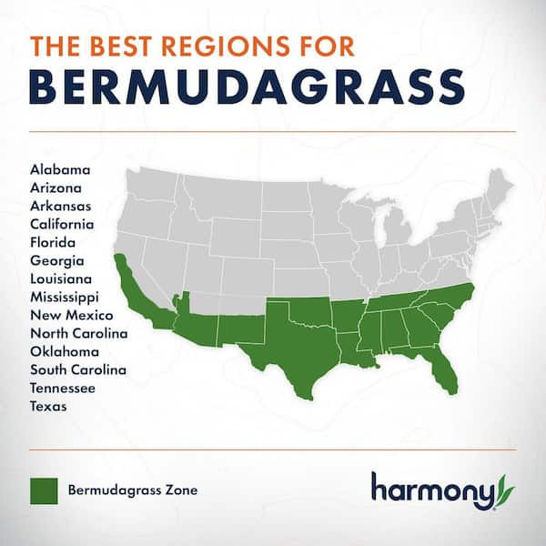 500 sq. ft. Bermuda Sod (1-Pallet)