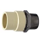 3/4 in. x 3/4 in. CPVC CTS Slip Stainless Steel MPT Adapter
