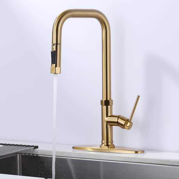 Single Handle 2-Water Modes Pull Down Sprayer Kitchen Faucet with Stainless Steel and Brass in Gold