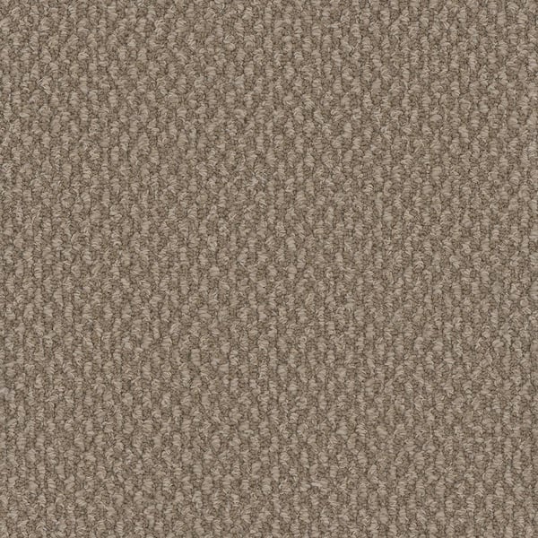Home Decorators Collection Dark Paradise - Bliss - Beige 25 oz. SD Polyester Loop Installed Carpet