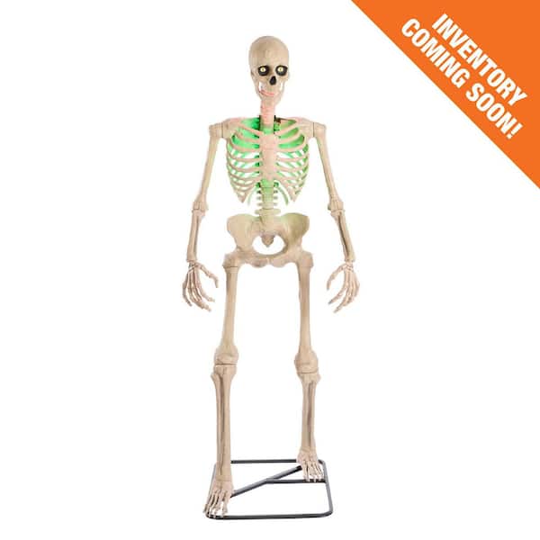6.5 ft. Grave & Bones Animated LED App Controlled Ultra Skelly with LifeEyes™ LCD Eyes H23