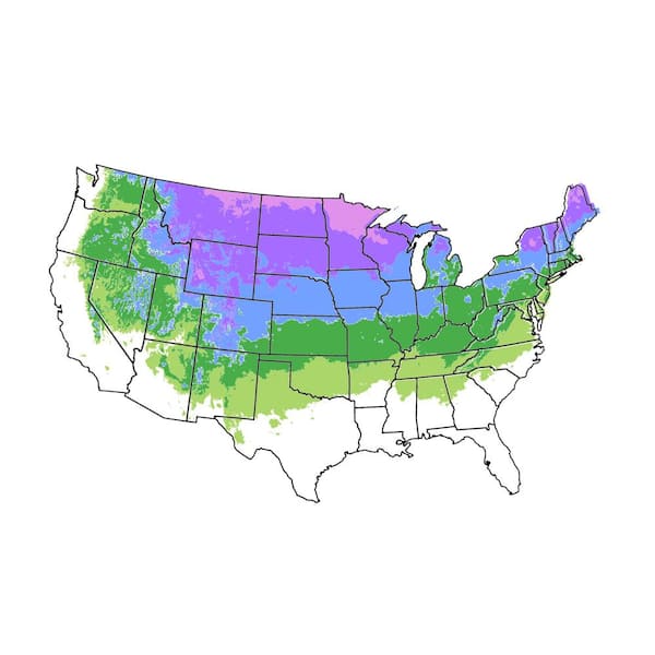 5 Gal. Honeycrisp Apple Tree