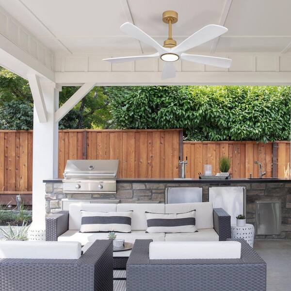 Shinevoy 52 in. Indoor Gold Downrod Mount Ceiling Fan with Light
