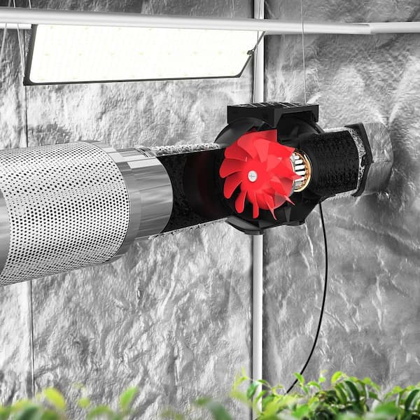 iPower 6 in. 300 CFM Ventilation Booster Fan with Grounded Power for HVAC  in Grow Tent, Basements, Bathrooms GLFANBOSTEREXP6 - The Home Depot