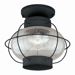 Chatham Black Coastal Globe Outdoor Flush Mount 1-Light Ceiling Fixture Clear Glass