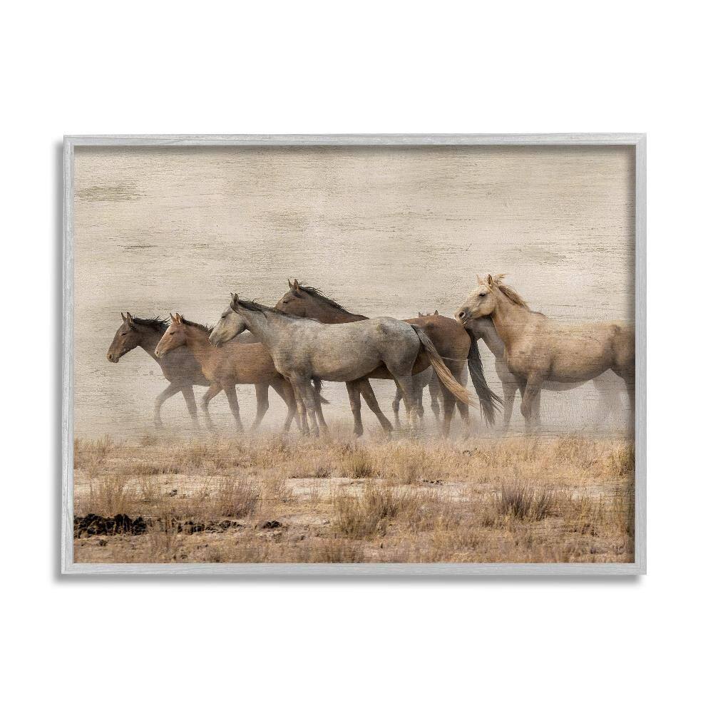 Galloping Horse Herd Countryside by Danita Delimont 1-Piece Gray Framed Animal Giclee Art Print 14 in. x 11 in. price history on PriceWatchPro