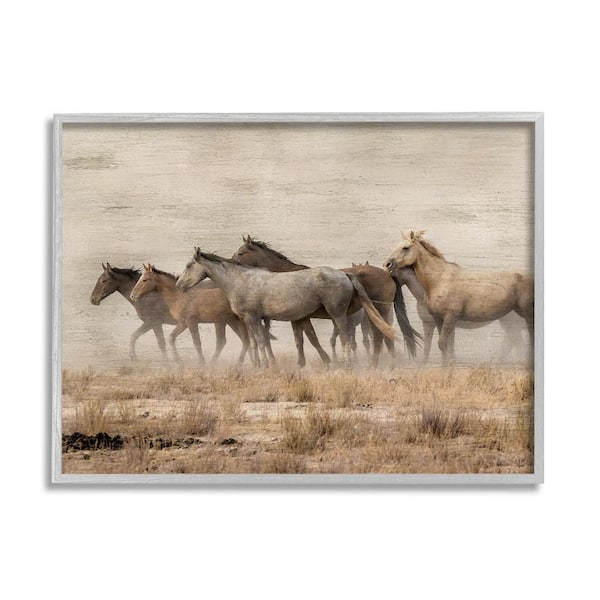Stupell Industries Galloping Horse Herd Countryside by Danita Delimont 1-Piece Gray Framed Animal Giclee Art Print 14 in. x 11 in.