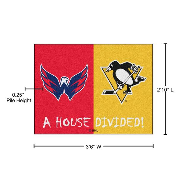 : House Divided Cowboys and Eagles Double Sided Garden Flag :  Sports & Outdoors