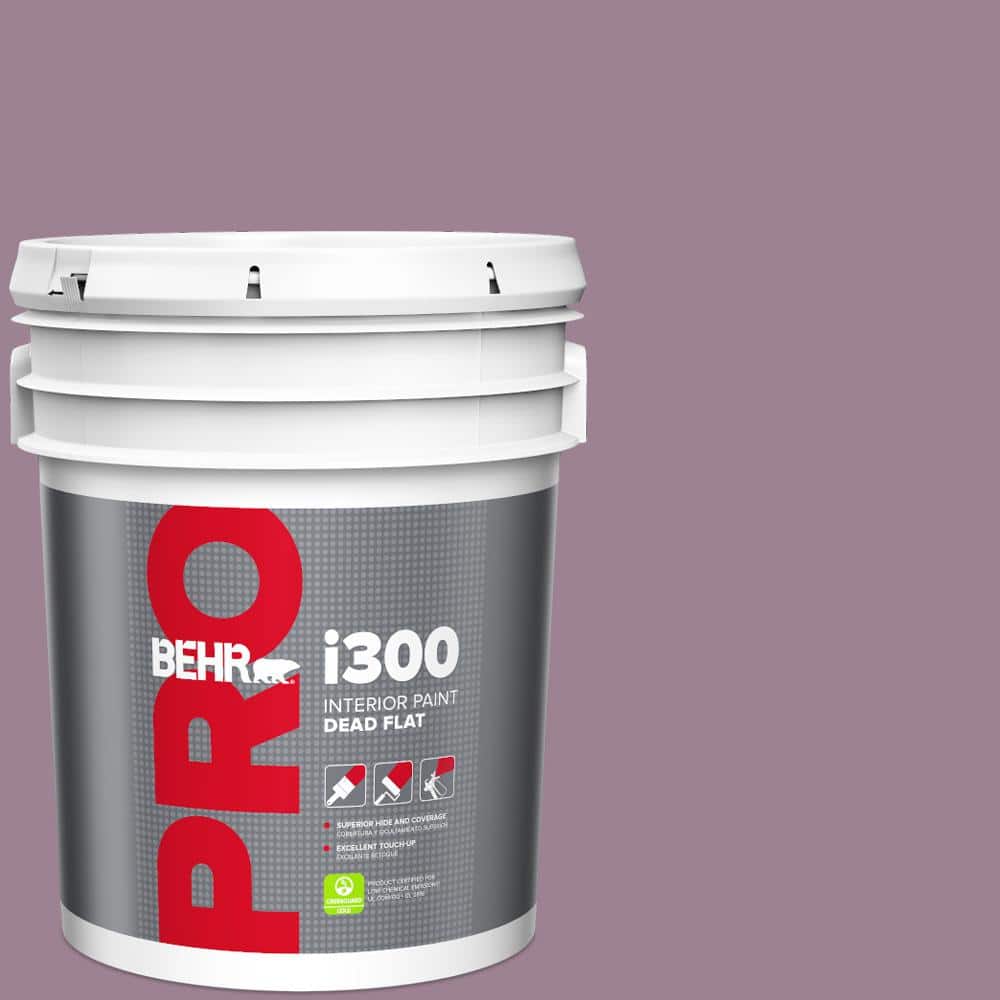 5 gal. #S110-5 Garden Plum Dead Flat Interior Paint price history on PriceWatchPro