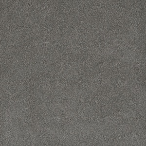 First Class II - Leland - Beige 50 oz. SD Polyester Texture Installed Carpet