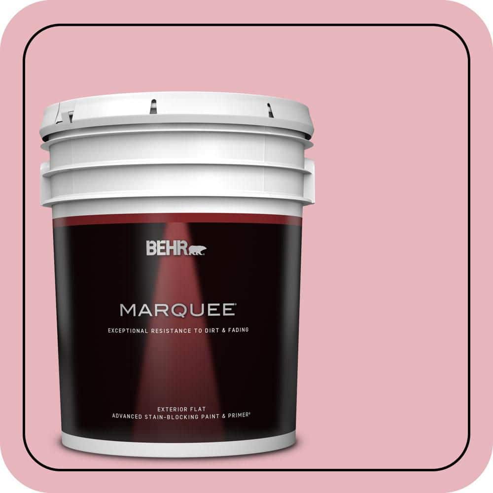 5 gal. #110C-2 Colonial Rose Flat Exterior Paint & Primer price history on PriceWatchPro