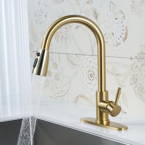 Single Handle Pull Out Sprayer Kitchen Faucet Included Deckplate in Brushed Gold