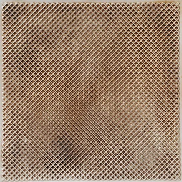 FROM PLAIN TO BEAUTIFUL IN HOURS Mesh Antique White 2 ft. x 2 ft. PVC Glue Up or Lay In Ceiling Tile (200 sq. ft./case)
