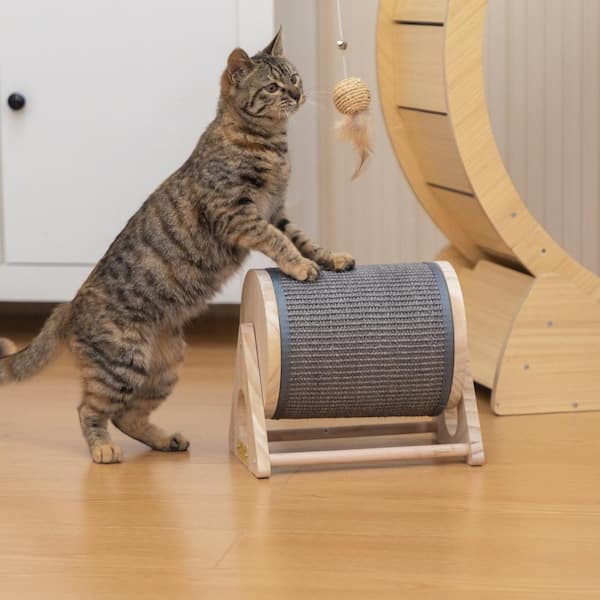 Cat Scratching Post Exercise Wheel