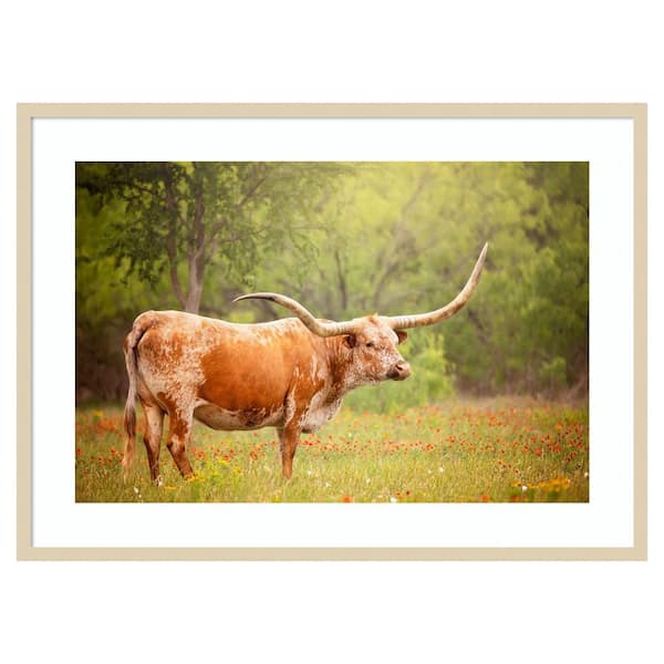 Amanti Art Sunlit Midwest I by PHBurchett 1-Piece Framed Giclee Animal Art Print 30 in x 41 in