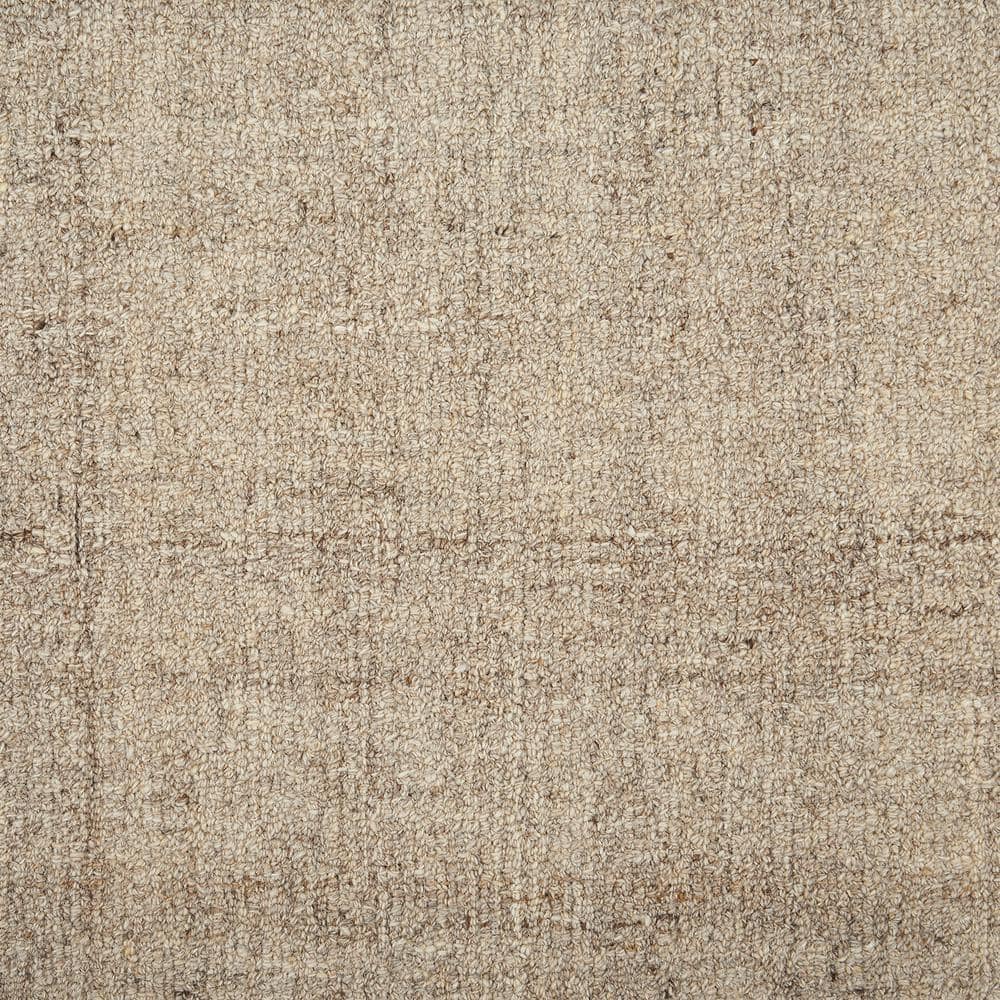 6 in. x 6 in. Texture Carpet Sample - Surface - Color Prairie price history on PriceWatchPro