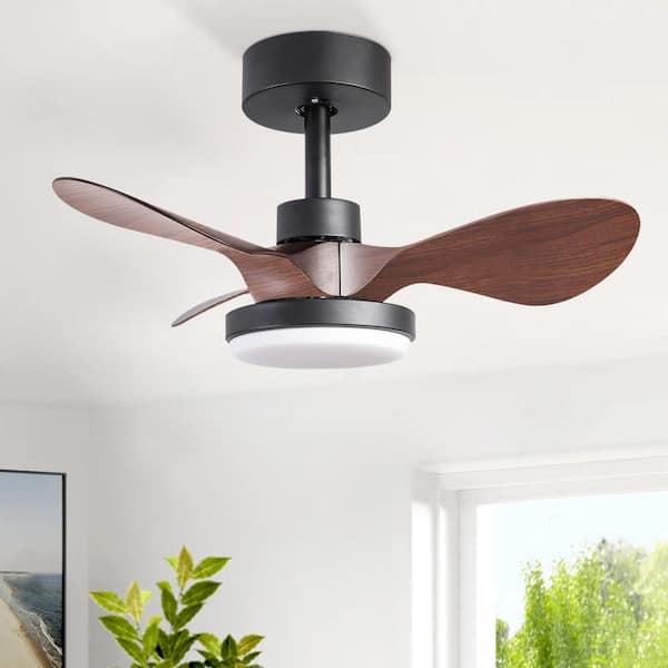 24 in.Indoor Brown small Ceiling Fan with Light remote control, 6-Speeds Quiet Reversible DC motor