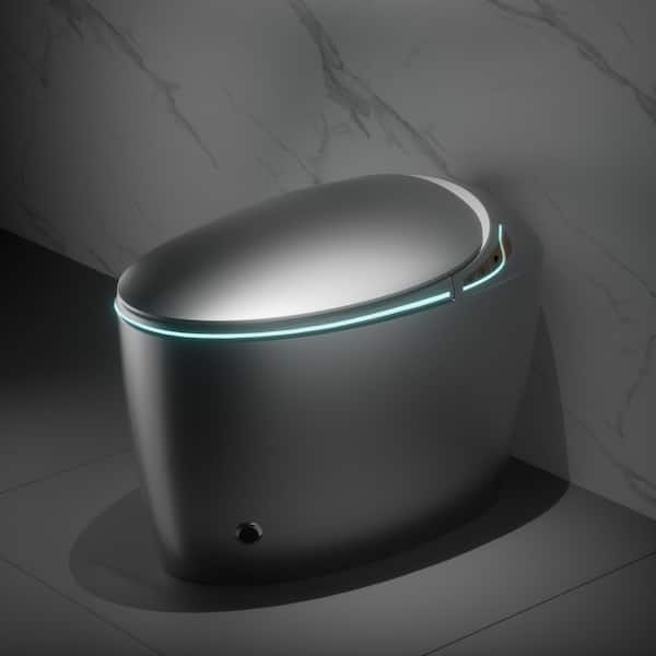 Elongated Round Egg-Shaped Bidet Toilet 1.28GPF in Gray with Auto Flush Auto Open and Heated Seat Warm Water and Dryer