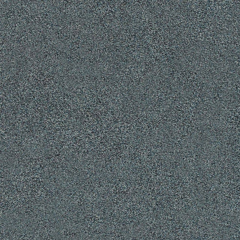 8 in. x 8 in. Texture Carpet Sample - Cinderella Soft I - Color Appealing price history on PriceWatchPro