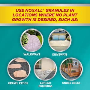 10 lb. 1,000 sq. ft. Outdoor Patio, Driveway and Walkway Noxall Vegetation Killer Granules