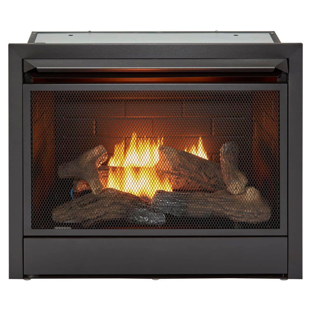 Home Depot Gas Fireplace Insert