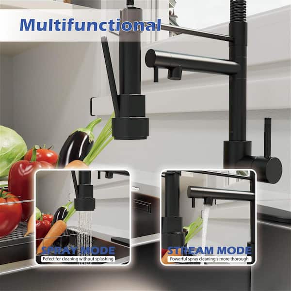 18.3 in. H Pull Down Sprayer Ktichen Faucet with 2 Spray Head 360° Spout Swivel in Matte Black