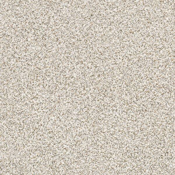 Lifeproof 8 in. x 8 in. Texture Carpet Sample - Madeline II - Color Feathered Owl