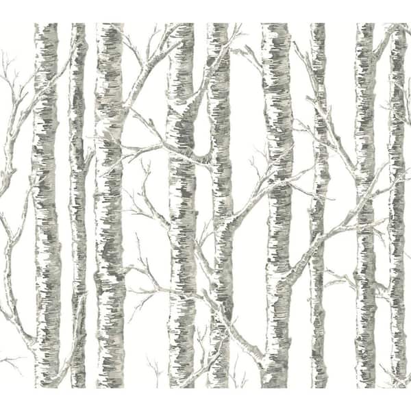 60.75 sq.ft. Gray Paper Birch Wallpaper