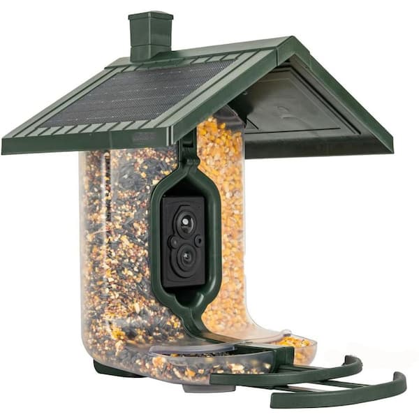 Smart Bird Feeder Solar-Automatically Captures HD Pictures and Videos in Green